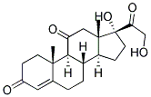 ANTI-CORTISONE Struktur