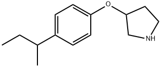 3-[4-(SEC-BUTYL)PHENOXY]PYRROLIDINE Struktur