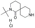 2-TERT-BUTYL-2,9-DIAZASPIRO[5.5]UNDECAN-1-ONE HYDROCHLORIDE Struktur