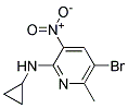 (5-BROMO-6-METHYL-3-NITRO-PYRIDIN-2-YL)-CYCLOPROPYL-AMINE Struktur