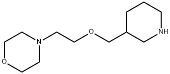 4-[2-(3-PIPERIDINYLMETHOXY)ETHYL]MORPHOLINE Struktur