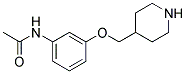 N-[3-(4-PIPERIDINYLMETHOXY)PHENYL]ACETAMIDE Struktur