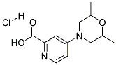 4-(2,6-DIMETHYLMORPHOLIN-4-YL)PYRIDINE-2-CARBOXYLIC ACID HYDROCHLORIDE Struktur