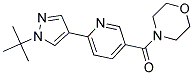 4-([6-(1-TERT-BUTYL-1H-PYRAZOL-4-YL)PYRIDIN-3-YL]CARBONYL)MORPHOLINE Struktur