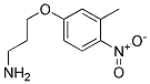 3-(3-METHYL-4-NITRO-PHENOXY)-PROPYLAMINE Struktur