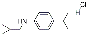 CYCLOPROPYLMETHYL-(4-ISOPROPYL-PHENYL)-AMINE HYDROCHLORIDE Struktur