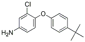 4-[4-(TERT-BUTYL)PHENOXY]-3-CHLOROPHENYLAMINE Struktur