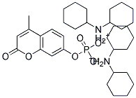 4-METHYLUMBELLIFERYL PHOSPHATE DICYCLOHEXYLAMMONIUM SALT Struktur