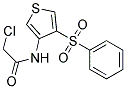 N1-[4-(PHENYLSULPHONYL)-3-THIENYL]-2-CHLOROACETAMIDE Struktur