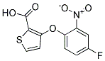 3-(4-Fluoro-2-nitrophenoxy)thiophene-2-carboxylic acid Struktur