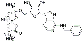 N-BENZYLADENOSINE TRIPHOSPHATE, AMMONIUM SALT Struktur