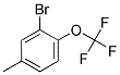 5-METHYL-2-(TRIFLUOROMETHOXY)BROMOBENZEN Struktur