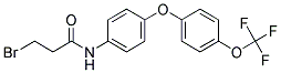 N-{4-[4-(TRIFLUOROMETHOXY)PHENOXY]PHENYL}-3-BROMOPROPANAMIDE Struktur