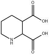 Piperidine-2,3-Dicarboxylic Acid Struktur