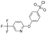 4-{[5-(Trifluoromethyl)pyridin-2-yl]oxy}benzenesulphonyl chloride Struktur