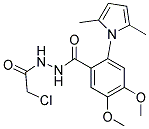 N'-(2-CHLOROACETYL)-2-(2,5-DIMETHYL-1H-PYRROL-1-YL)-4,5-DIMETHOXYBENZOHYDRAZIDE, TECH Struktur