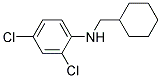 N-(CYCLOHEXYLMETHYL)-2,4-DICHLOROANILINE Struktur