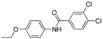 5-(3,4-DICHLORO-BENZOYLAMINO)-2-ETHOXY-BENZENE Struktur