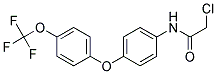 N-{4-[4-(TRIFLUOROMETHOXY)PHENOXY]PHENYL}-2-CHLOROACETAMIDE Struktur