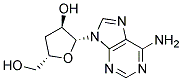 Cordycepin powder Struktur