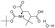 BOC-G-TERT.-BUTYL-D-GLUTAMATE H2O Struktur