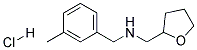 (3-METHYLPHENYL)-N-(TETRAHYDRO-2-FURANYLMETHYL)-METHANAMINE HYDROCHLORIDE Struktur