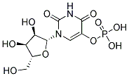 URIDIN-5-MONOPHOSPHATE Struktur