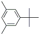 5-TERTIARY BUTYL M-XYLENE Struktur