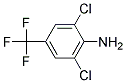 4-Amino-3,5-Dichloro-Benzotrifloride Struktur