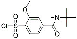 4-TERT-BUTYLCARBAMOYL-2-METHOXY-BENZENESULFONYL CHLORIDE Struktur