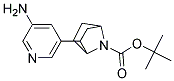 7-TERT-BUTOXYCARBONYL-2-EXO-(3'-AMINO-5'-PYRIDINYL)-7-AZABICYCLO[2.2.1]HEPTANE Struktur