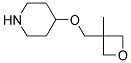 4-[(3-METHYL-3-OXETANYL)METHOXY]PIPERIDINE Struktur