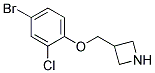 3-(4-Bromo-2-chloro-phenoxymethyl)-azetidine Struktur