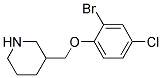 3-(2-Bromo-4-chloro-phenoxymethyl)-piperidine Struktur