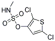 N-Methyl-2,5-Dichloro-3-Thiophenesulfuric Amide Struktur