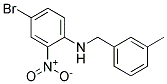 (4-Bromo-2-nitro-phenyl)-(3-methyl-benzyl)-amine Struktur