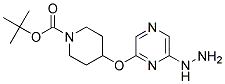 tert-butyl 4-[(6-hydrazinopyrazin-2-yl)oxy]piperidine-1-carboxylate Struktur