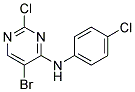 5-bromo-2-chloro-N-(4-chlorophenyl)pyrimidin-4-amine Struktur