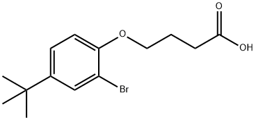 4-(2-BROMO-4-TERT-BUTYLPHENOXY)BUTANOIC ACID Struktur