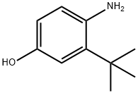 4-amino-3-tert-butylphenol Struktur