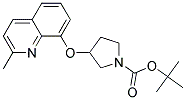 3-(2-Methyl-quinolin-8-yloxy)-pyrrolidine-1-carboxylic acid tert-butyl ester Struktur