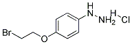 4-(2-BROMOETHOXY)PHENYLHYDRAZINE HYDROCHLORIDE Struktur