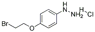 4-(2-Bromoethoxy)Phenylhydrazine HCl Struktur