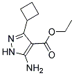 ethyl 5-amino-3-cyclobutyl-1H-pyrazole-4-carboxylate Struktur