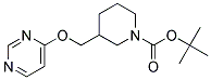 3-(Pyrimidin-4-yloxymethyl)-piperidine-1-carboxylic acid tert-butyl ester Struktur