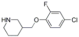 3-(4-Chloro-2-fluoro-phenoxymethyl)-piperidine Struktur