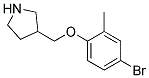 3-(4-Bromo-2-methyl-phenoxymethyl)-pyrrolidine Struktur