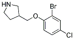 3-(2-Bromo-4-chloro-phenoxymethyl)-pyrrolidine Struktur