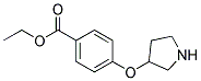 4-(Pyrrolidin-3-yloxy)-benzoic acid ethyl ester Struktur