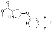 methyl (2S,4R)-4-{[4-(trifluoromethyl)pyridin-2-yl]oxy}pyrrolidine-2-carboxylate Struktur